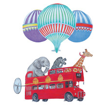 Animal Sightseeing Wall Decal