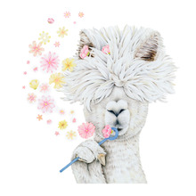 Alpaca With Flowers Wall Decal