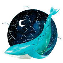 Cosmic Whale Wall Decal