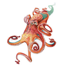Giant Pacific Octopus Wall Decal