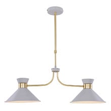Shane 2 Light Metal Pendant