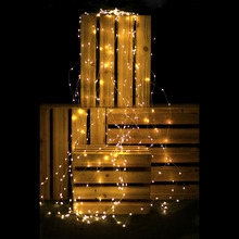 200 Dual Colour Micro LED Branch String Fairy Lights