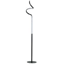 Joane Black & Chrome Iron Floor Lamp