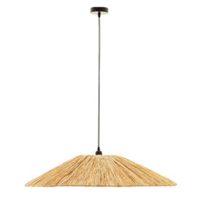 Monty Iron Pendant Light