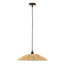 Monty Iron Pendant Light