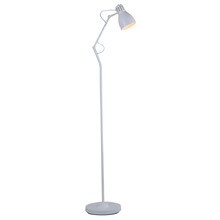 Warren Metal Adjustable Floor Lamp