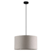 Taryn Iron Pendant Light