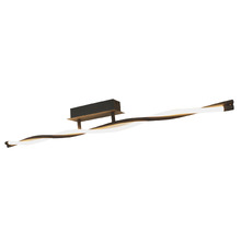 Boyer Metal LED Ceiling Light
