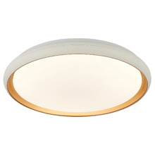 Aurora 40cm Round LED Oyster Light