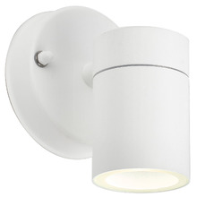 Tucker Outdoor Wall Light