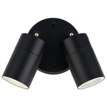 Lyra 2 Light Outdoor Wall Spotlight