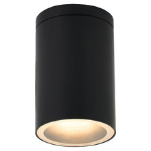 Declan Outdoor Ceiling Light
