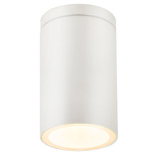 Declan Outdoor Ceiling Light