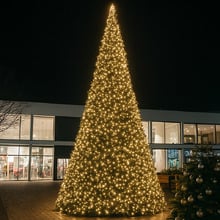 Saena LED Fairy Lights