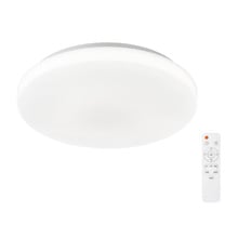 Kersey Iron LED Flush Mount Ceiling Light
