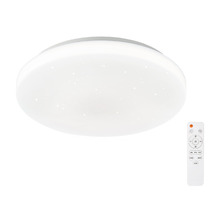 Jace Iron LED Flush Mount Ceiling Light