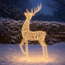 Kellan LED Light Up Reindeer
