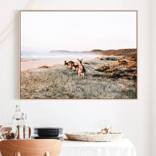 Beach Kangaroos Framed Canvas Wall Art