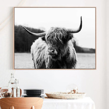 Highland Cow Framed Canvas Wall Art