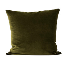 Luxury Velvet Cushion