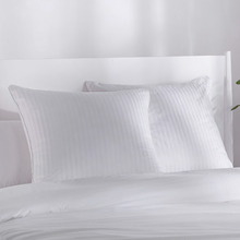 Annie Premium Cotton Euro Pillow Protectors (Set of 2)