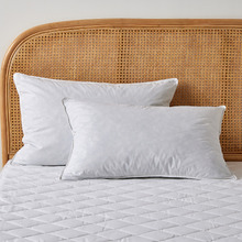 Duck Feather Standard Pillows (Set of 2)