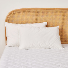 Duck Feather & Down Standard Pillows (Set of 2)