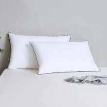 Albert Low Profile Soft Standard Pillows (Set of 2)