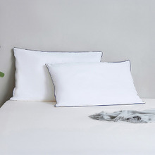 Albert Low Profile Firm Standard Pillows (Set of 2)