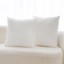 Anna Square Cushion Inserts (Set of 2)