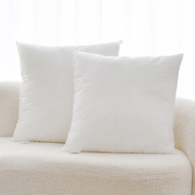 Anna Square Cushion Inserts (Set of 2)