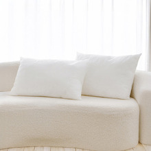 Anna Rectangular Cushion Inserts (Set of 2)