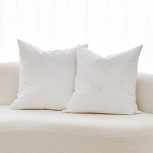 Avery Duck Feather Square Cushion Inserts (Set of 2)