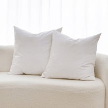 Avery Duck Feather Square Cushion Inserts (Set of 2)