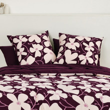Bryce European Pillowcases (Set of 2)