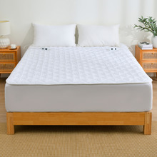 Raleigh Hypoallergenic Quilted Electric Blanket