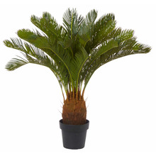 Potted Faux Cycas Plant