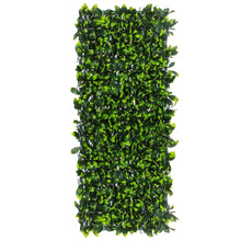 100cm Gardenia Expandable Trellis