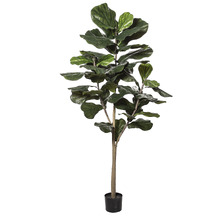182cm Potted Faux Fiddle Tree