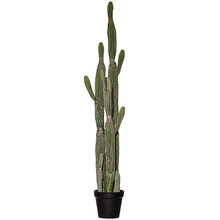 152cm Potted Faux Saguaro Cactus Plant