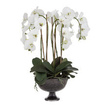 70cm Potted Faux Phalaenopsis Plant