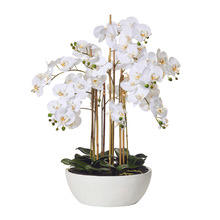 83cm Potted Faux Butterfly Orchid Plant