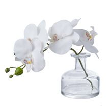 8cm White Faux Phalaenopsis with Glass Vase
