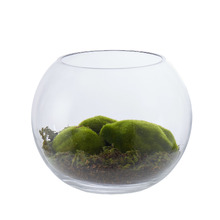 20cm Faux Moss Terrarium with Glass Bowl
