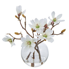 33cm White Faux Mini Magnolia with Glass Vase