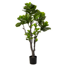 150cm Potted Faux Fiddle Tree
