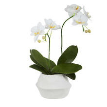 41cm Potted Faux Phalaenopsis Orchid