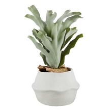 47cm Potted Faux Staghorn Fern