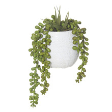 22cm Potted Faux Pearls Plant