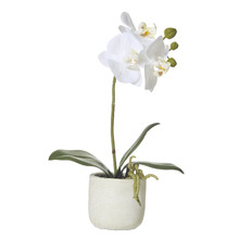 30cm Potted Faux Butterfly Orchid